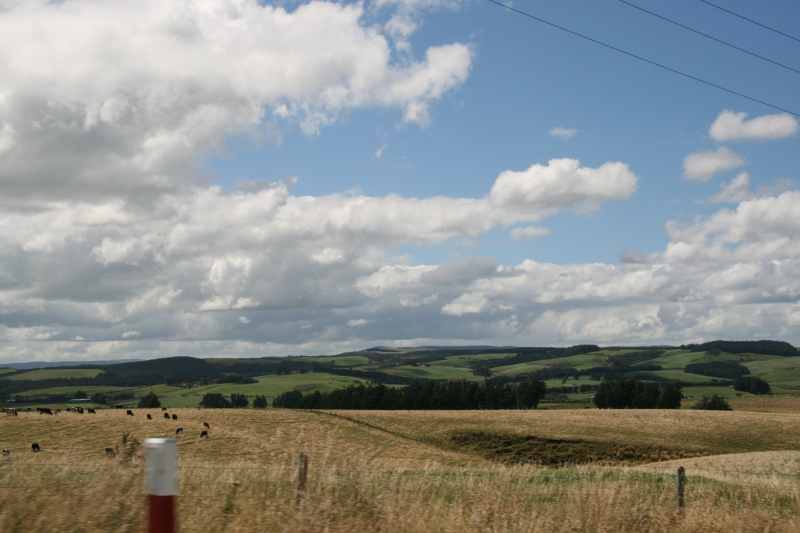 Nieuw-Zeeland 2011 - 1753